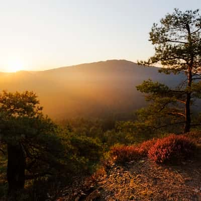 View over Erfweiler, Germany