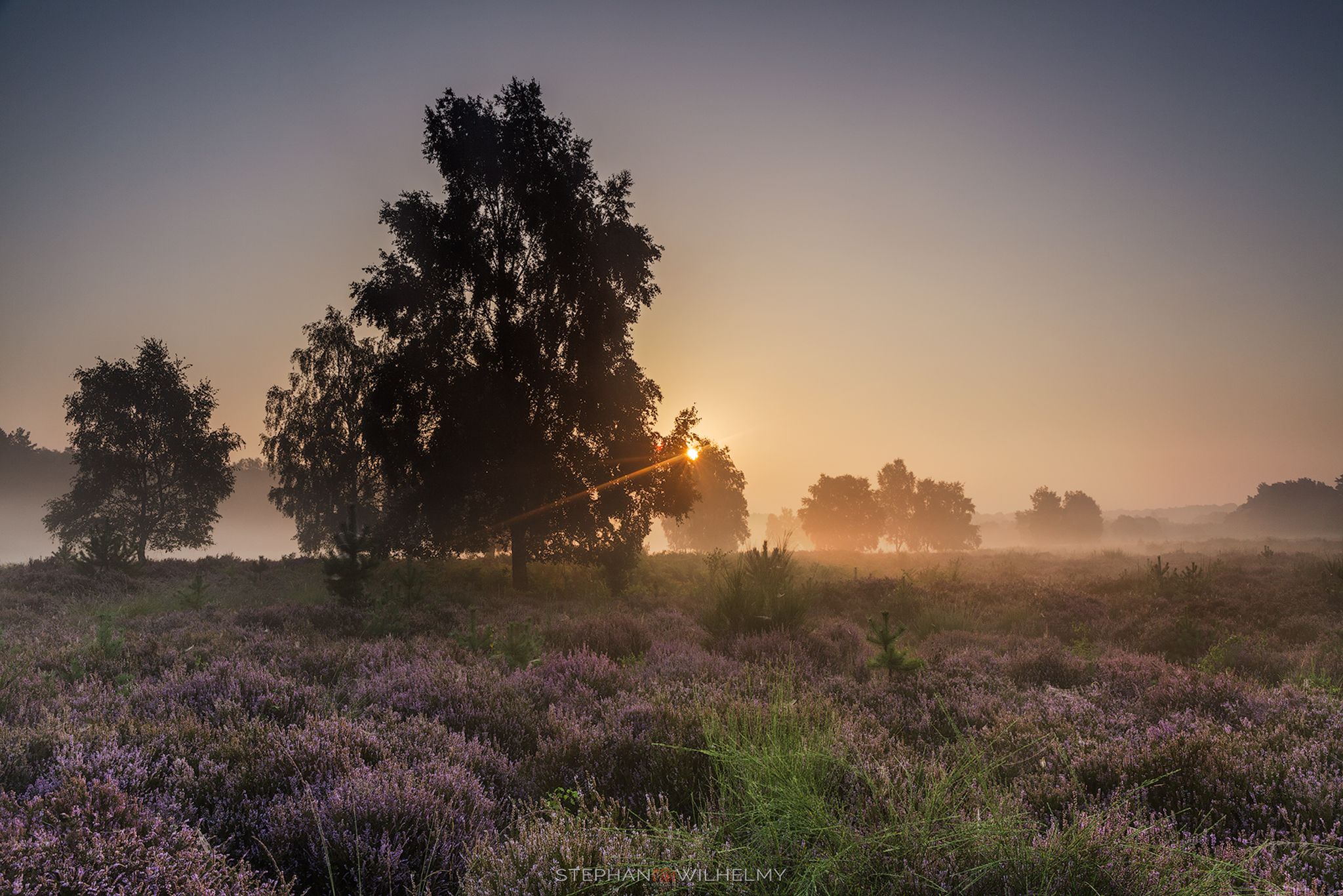 Wahner Heide, Cologne, Germany