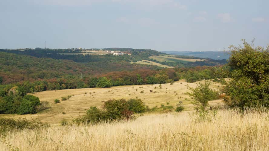 Windknollen / Napoleon Stein