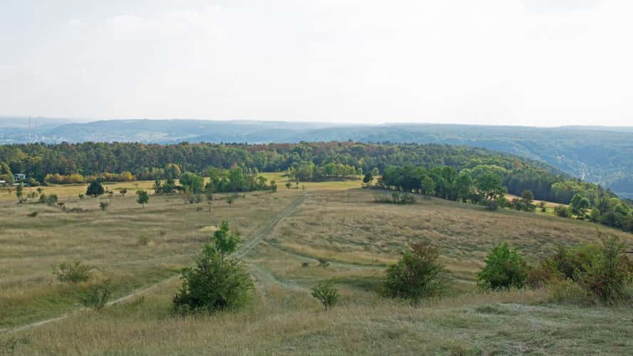 Windknollen / Napoleon Stein