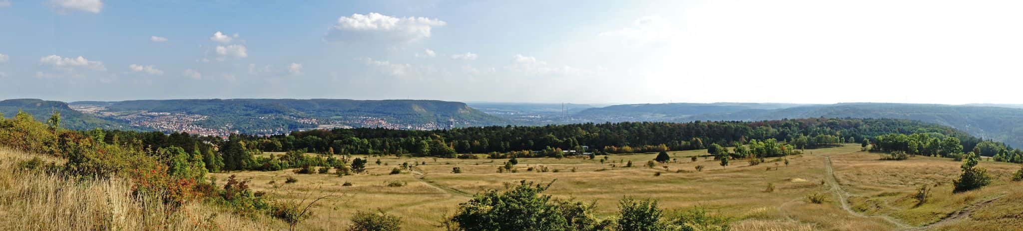 Windknollen / Napoleon Stein