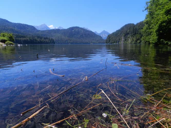 Alpsee