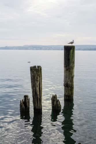 Am Bodensee bei Überlingen