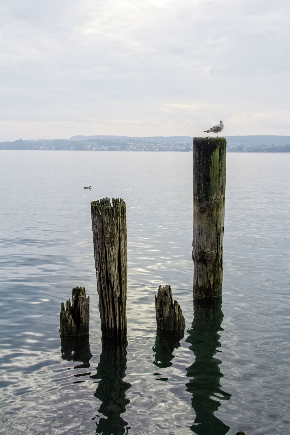 Am Bodensee bei Überlingen, Germany
