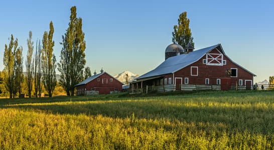 Central Barn and Mount Baker