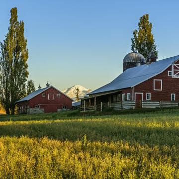 Central Barn and Mount Baker, USA