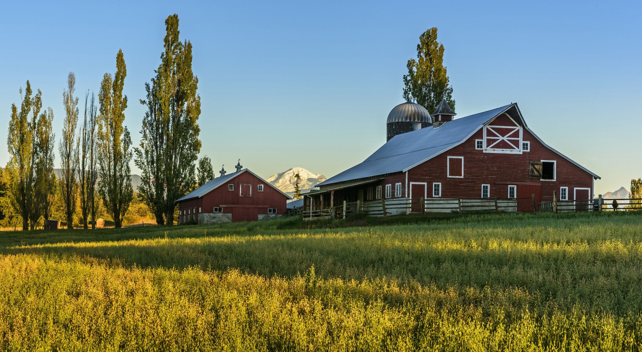 Central Barn and Mount Baker, USA