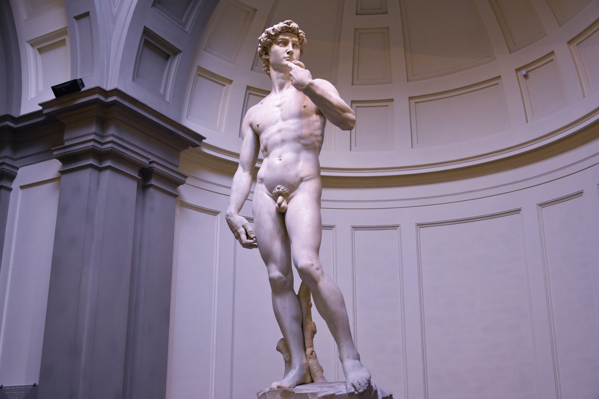 David, Italy