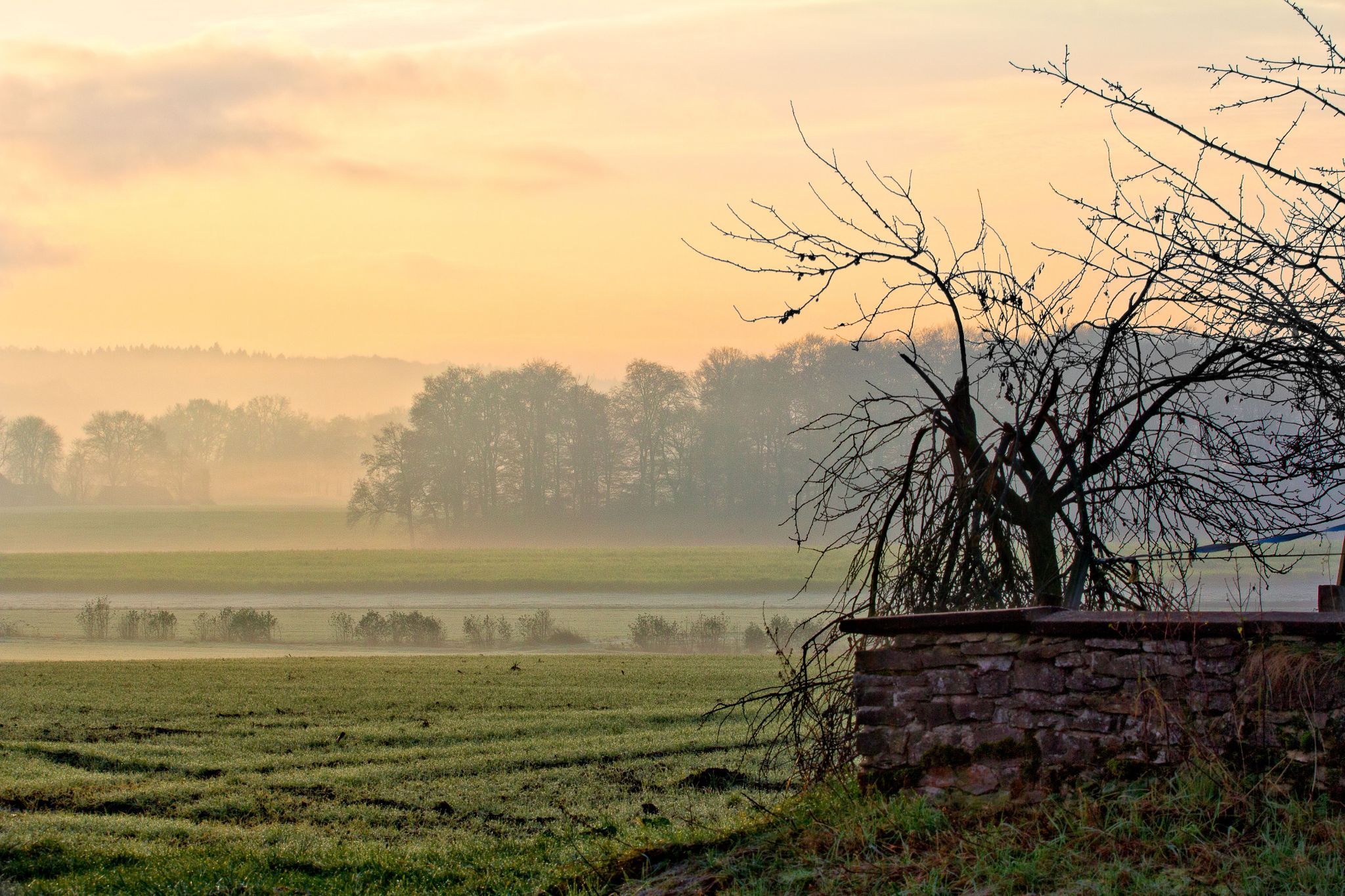 Evinghausen near Bramsche, Germany