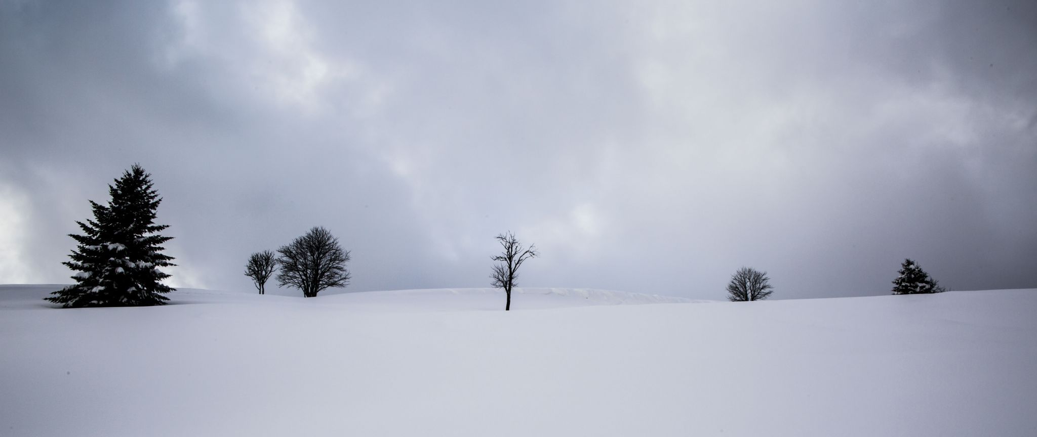 Franzosenberg, Germany