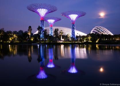 Gardens by the Bay SuperTree forest, Singapore