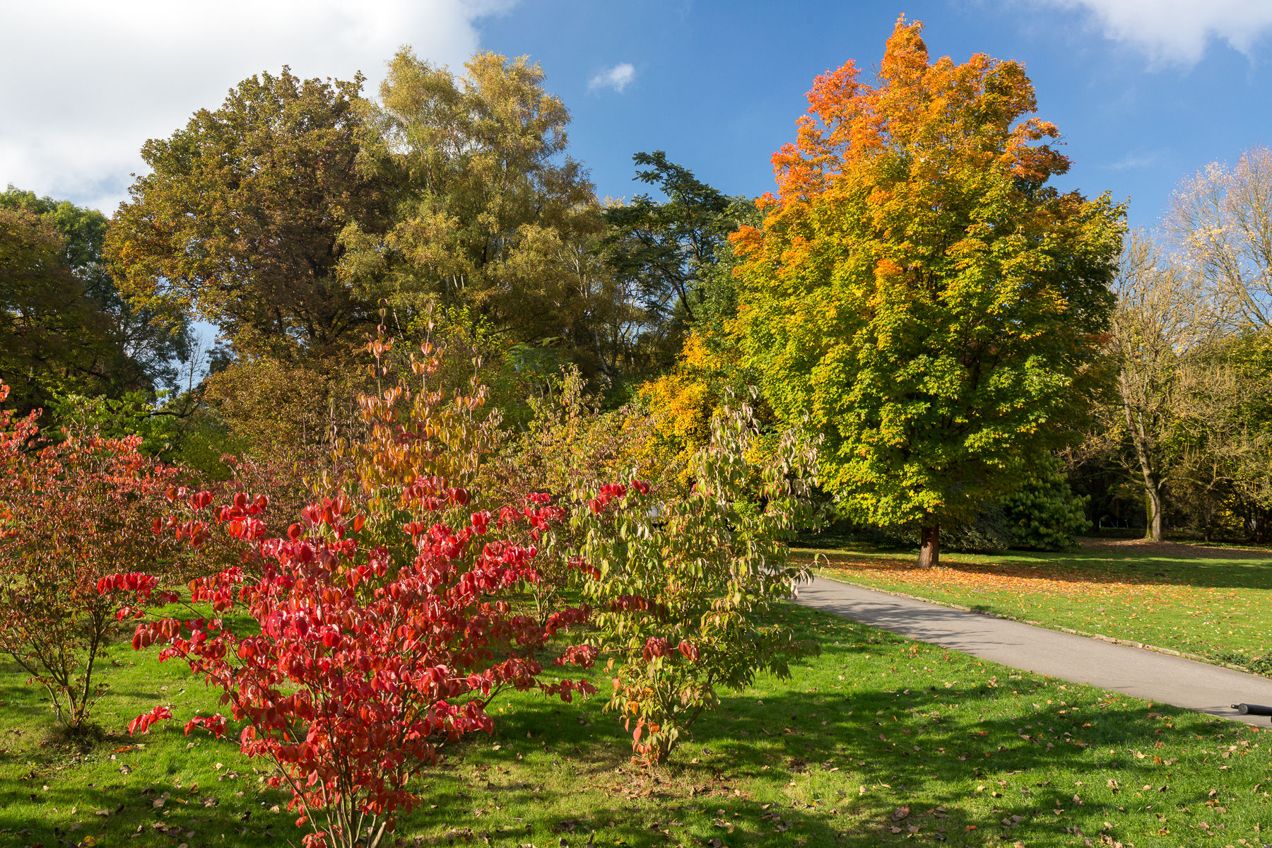 Indian Summer in Dortmund, Germany