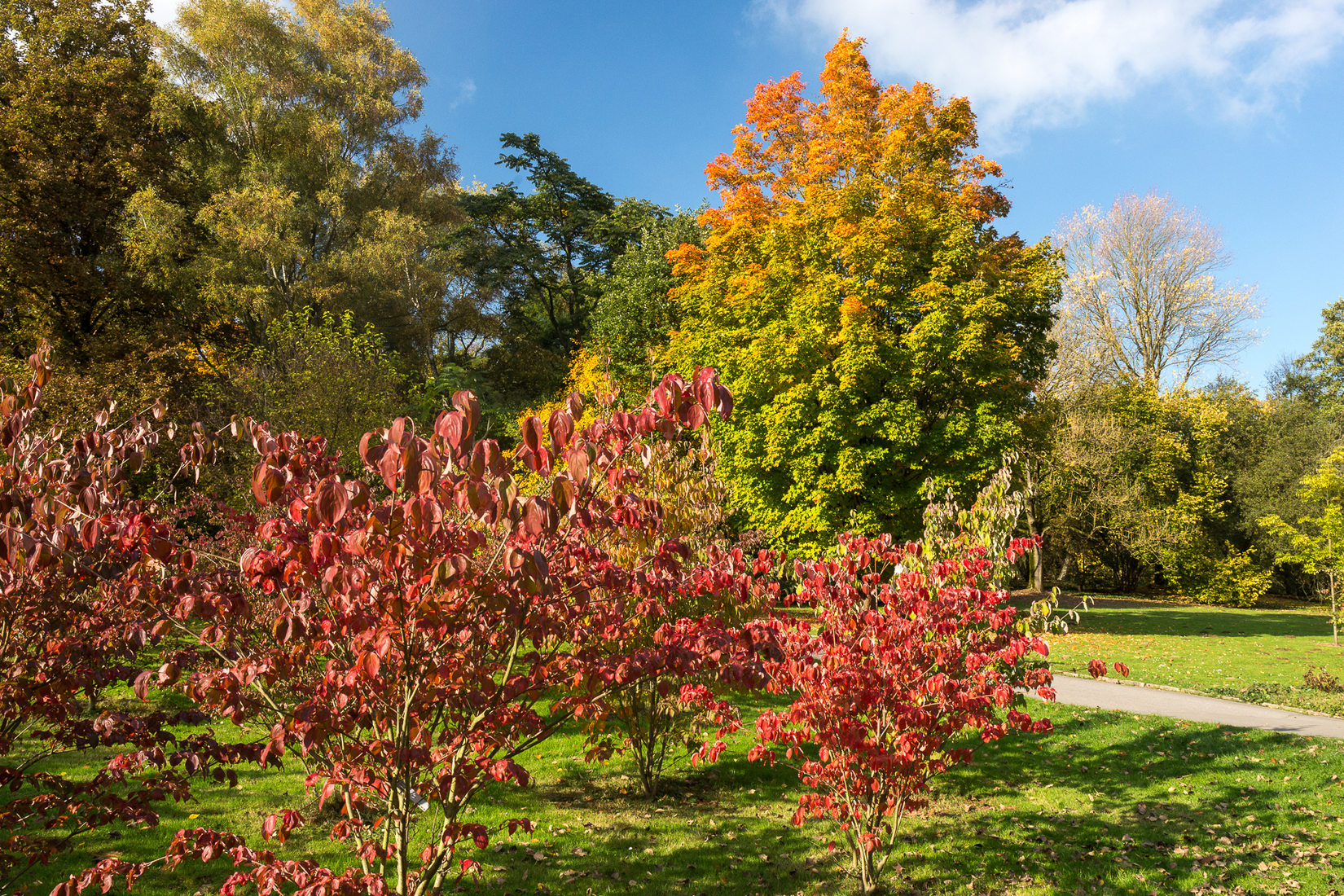 Indian Summer in Dortmund, Germany