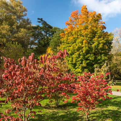 Indian Summer in Dortmund, Germany