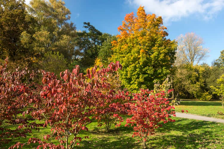 Indian Summer in Dortmund