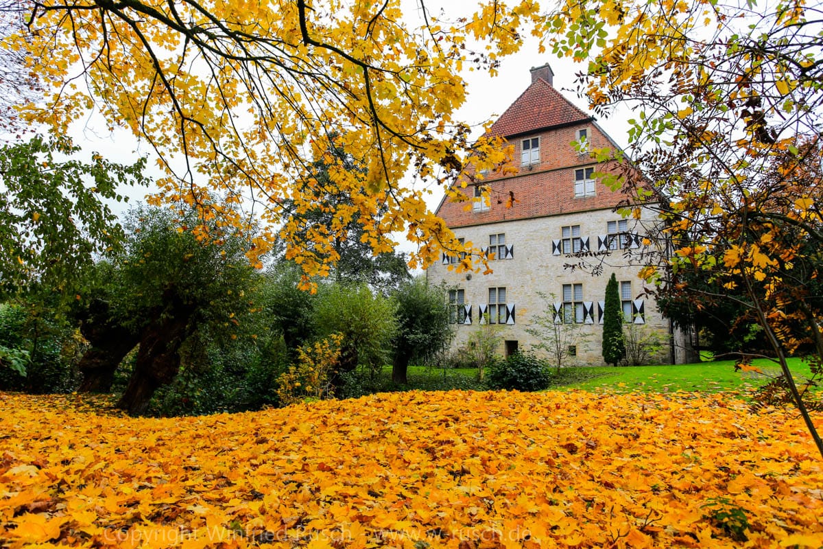 View from Behind of Kolvenburg, Billerbeck, Germany