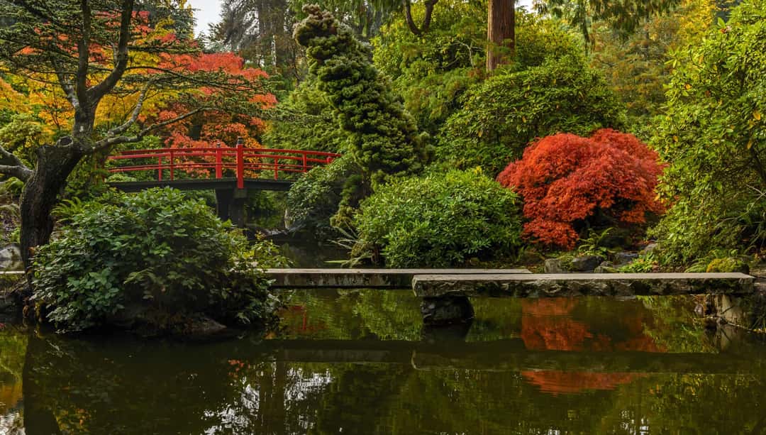 Kubota Garden (Japanese-influenced private-to-public garden) photo 2