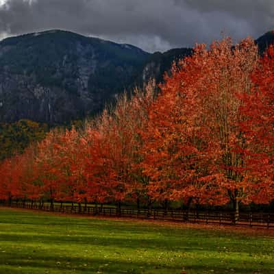 Rockwood Farm, USA