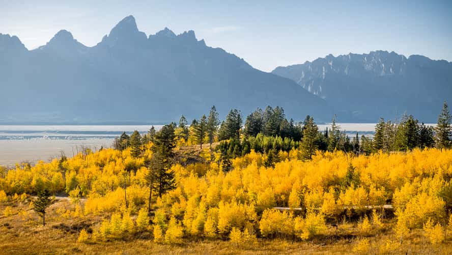 Shadow Mountain Vista, Wyoming