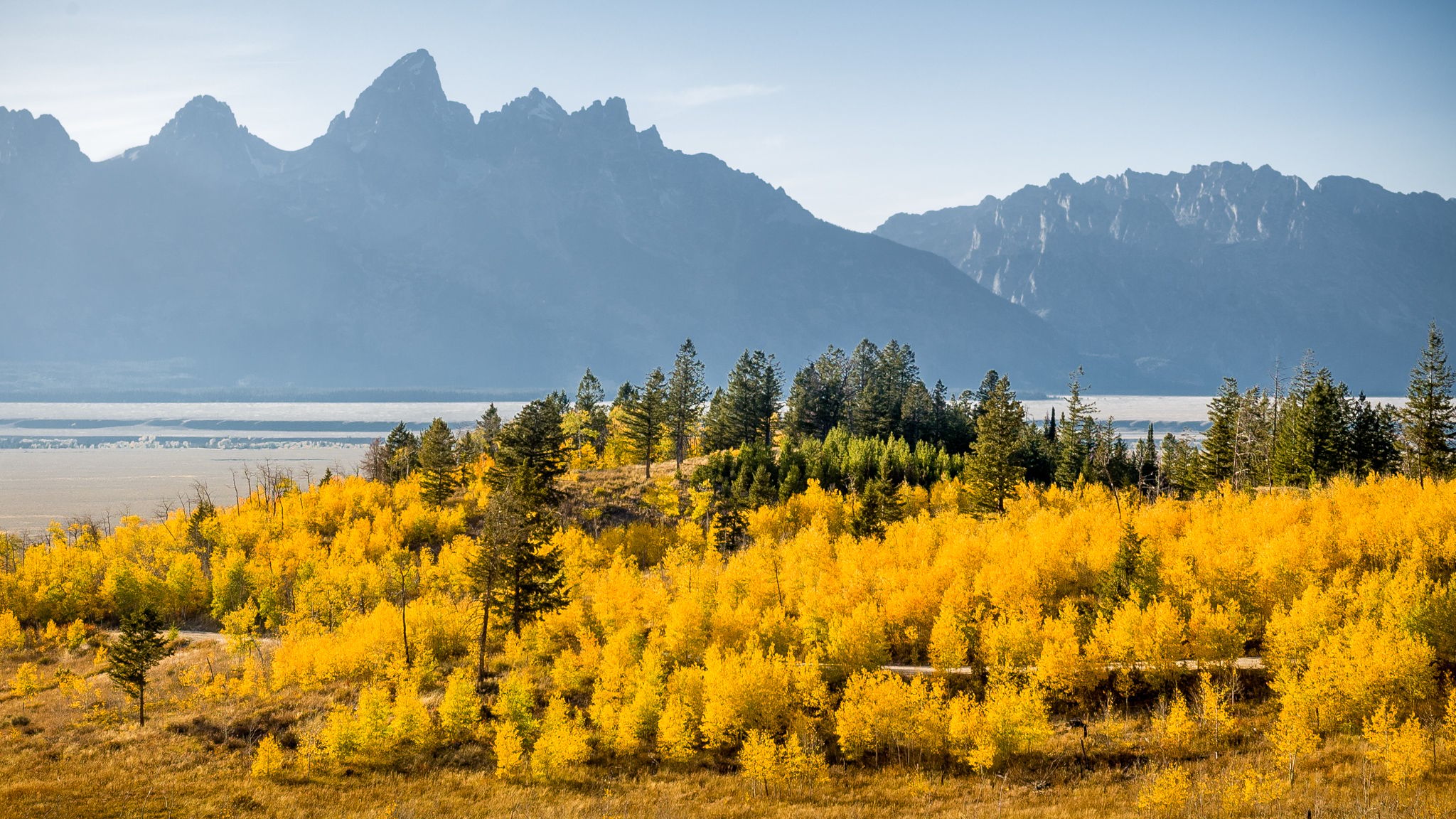 Shadow Mountain Vista, Wyoming, USA