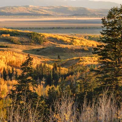 Shadow Mountain Vista, Wyoming, USA