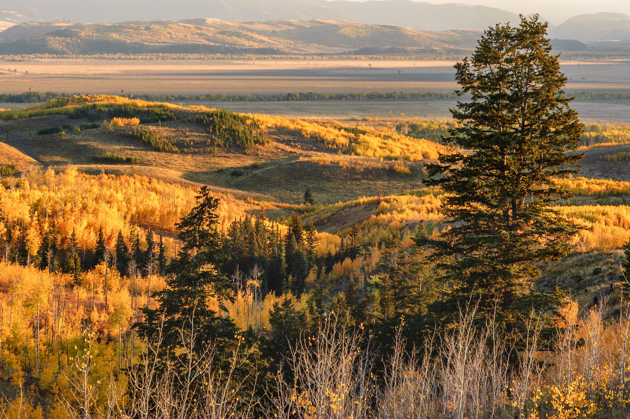 Shadow Mountain Vista, Wyoming, USA