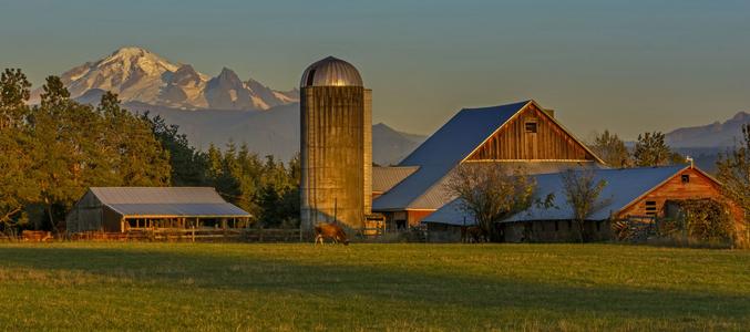 The Noon Barn and Mount Baker