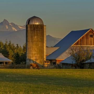 The Noon Barn and Mount Baker, USA
