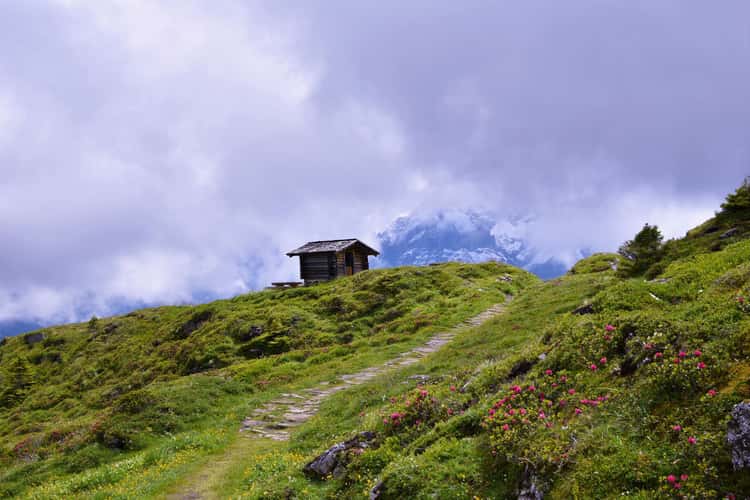 The Swiss Alps