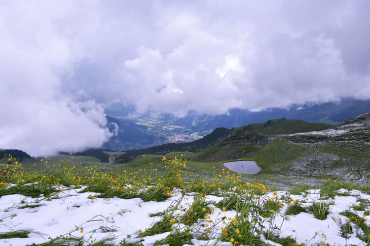 Top of Männlichen