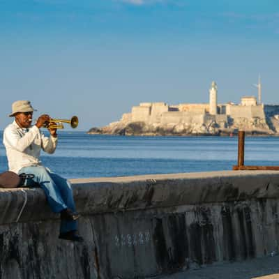 Trompeter am Malecon, Cuba