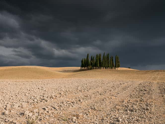 Tuscany Grove