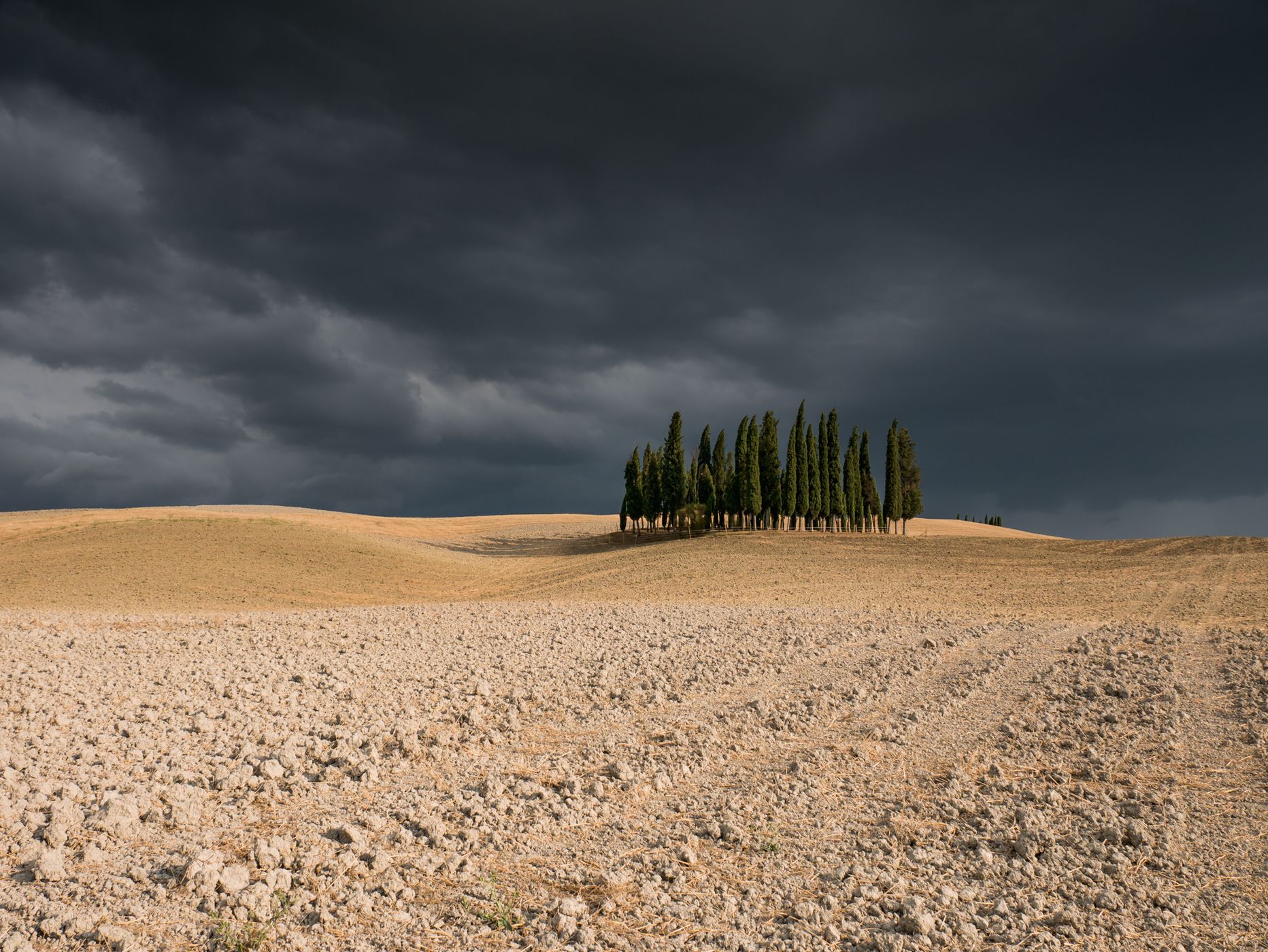 Tuscany Grove, Italy