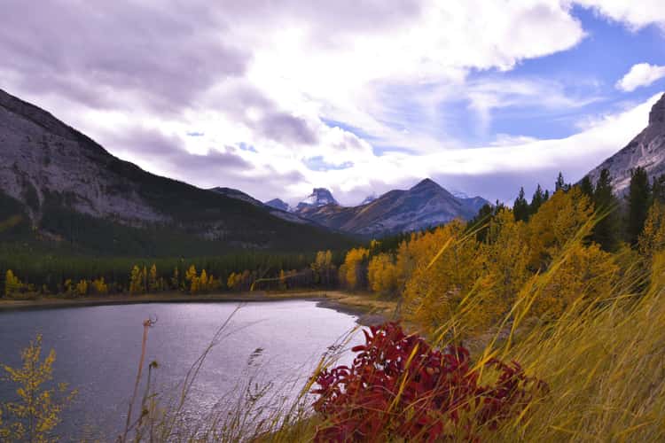 Wedge Pond