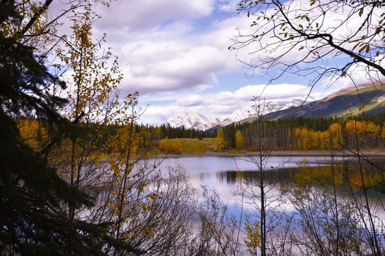 Wedge Pond