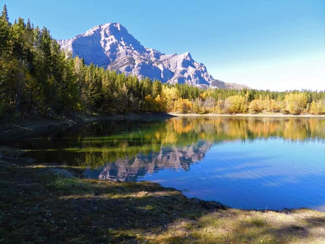Wedge Pond