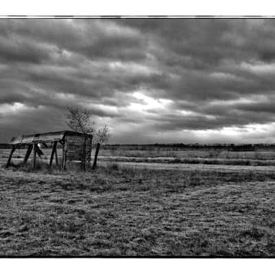 Wietinghäuser Moor, Germany