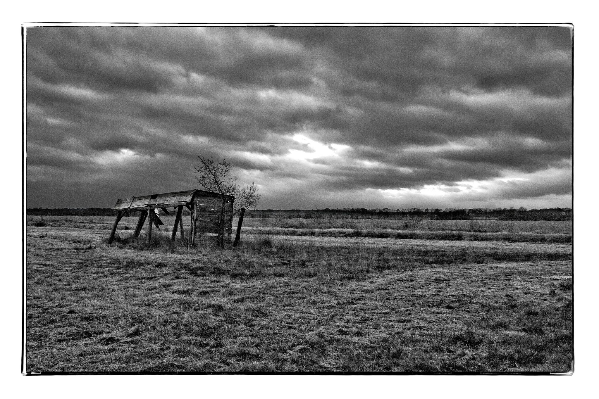 Wietinghäuser Moor, Germany