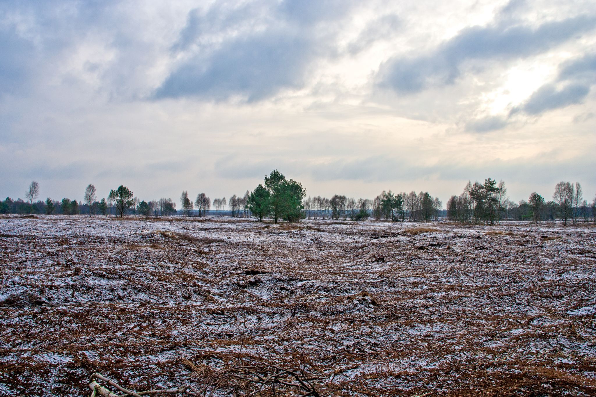 Wietingsmoor im Winter, Germany