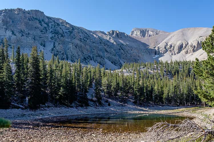 Alpine Lake below Mt. Wheeler