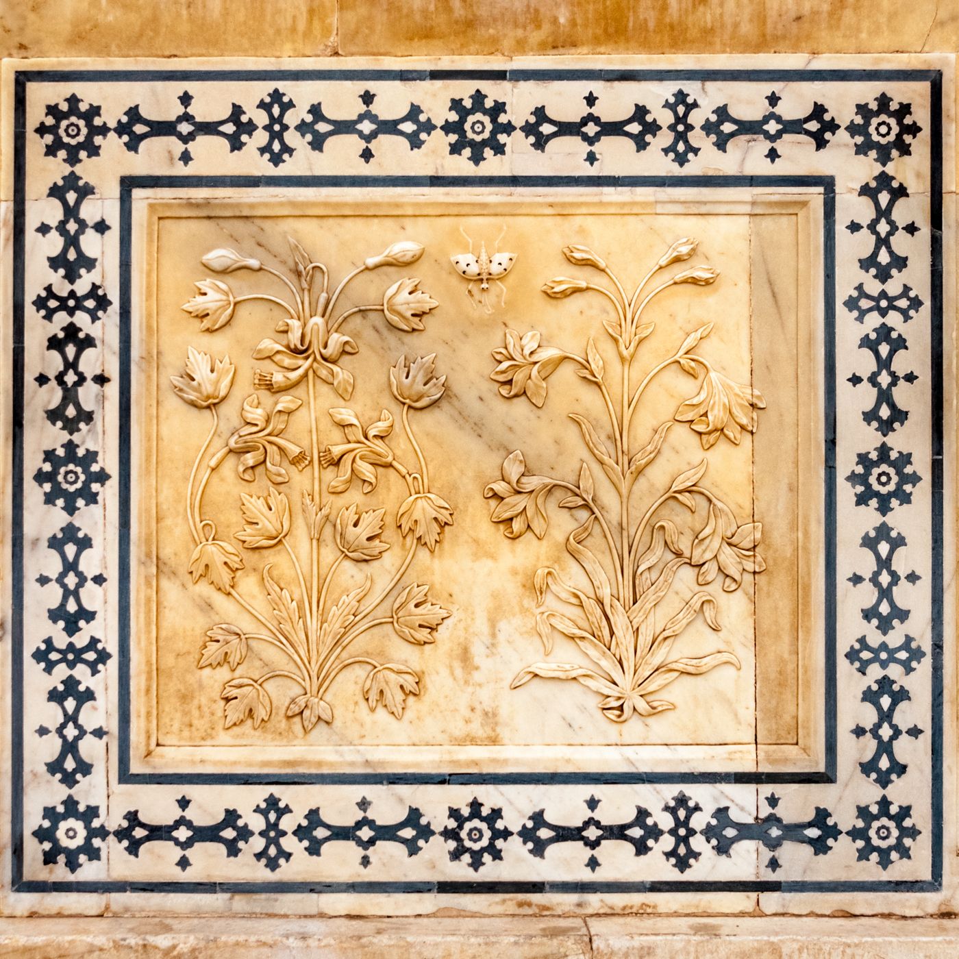 Amber (Amer) Fort, Jaipur, India