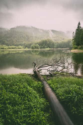 Biogradsko Jezero