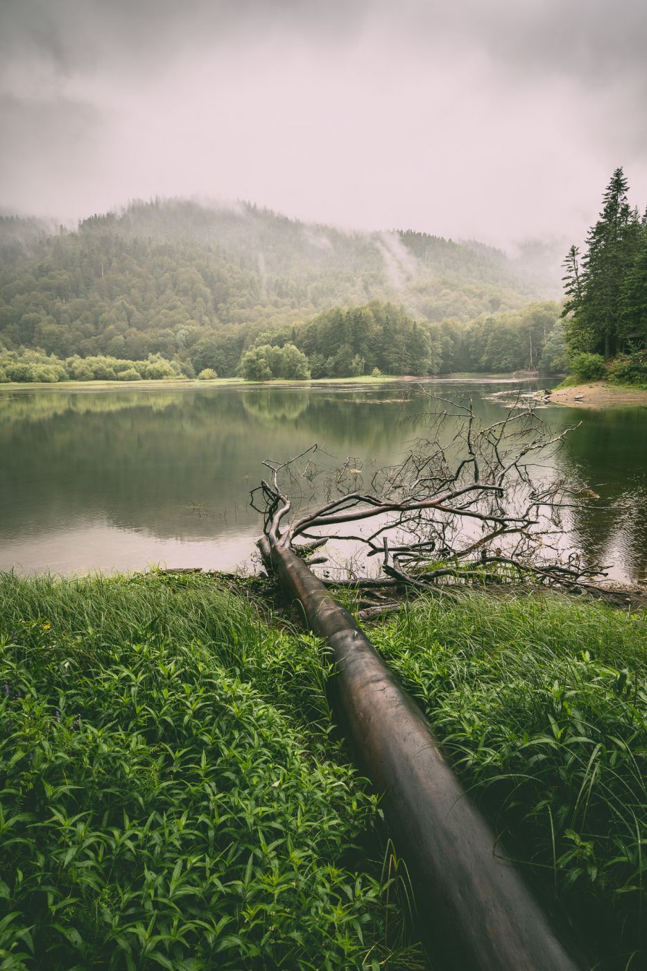 Biogradsko Jezero, Montenegro
