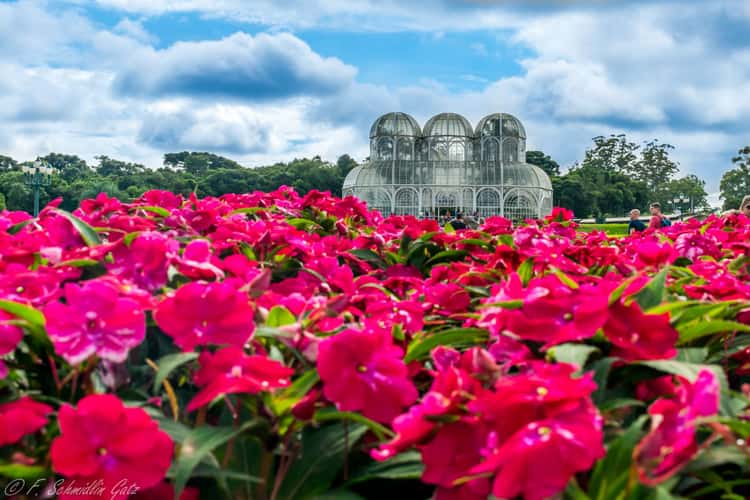 Botanical Garden Curitiba