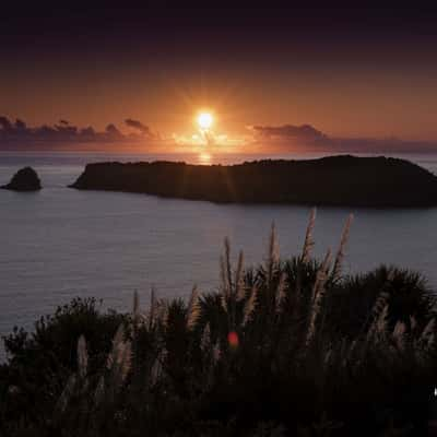 Hahei Beach Lookout, New Zealand