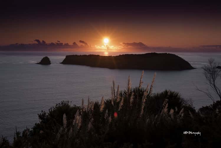 Hahei Beach Lookout