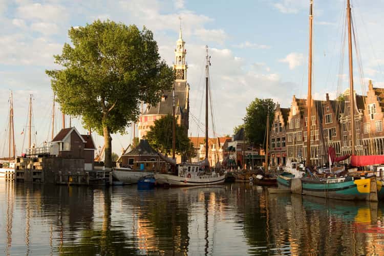 Hoorn