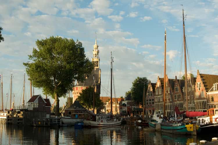 Hoorn