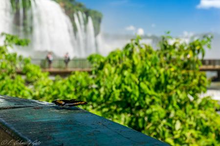 Iguaçu or Iguazu Falls