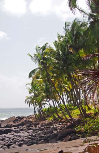 Ile Royale, French Guyana